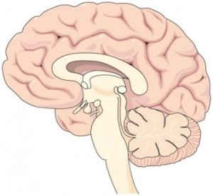 Asemptomatik Beyin Lezyonları