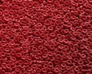 Bir Pilotta Polisitemi